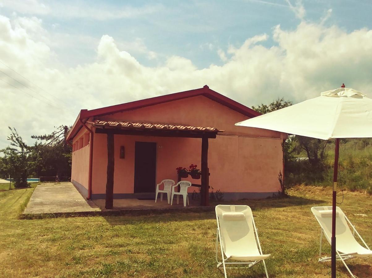 Agriturismo Botro Pulicciano エクステリア 写真