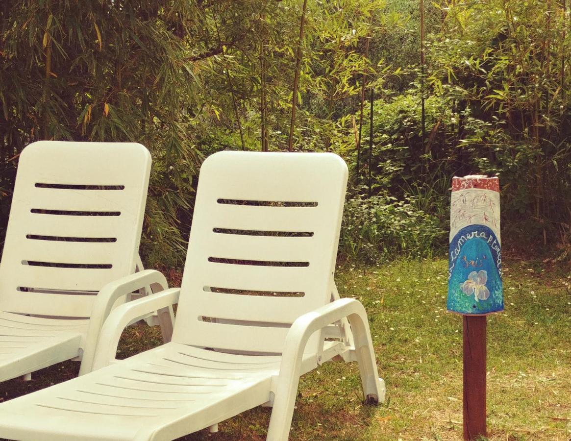 Agriturismo Botro Pulicciano エクステリア 写真
