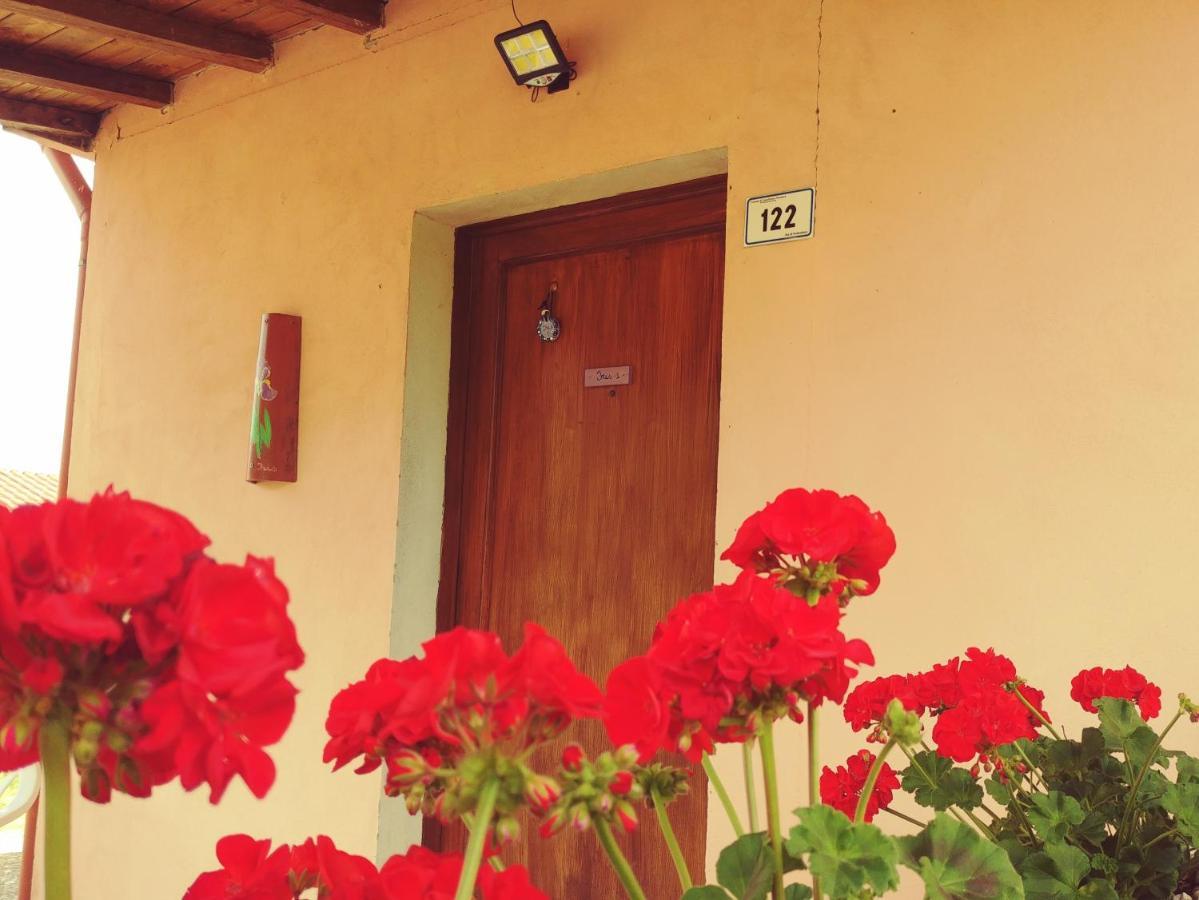 Agriturismo Botro Pulicciano エクステリア 写真
