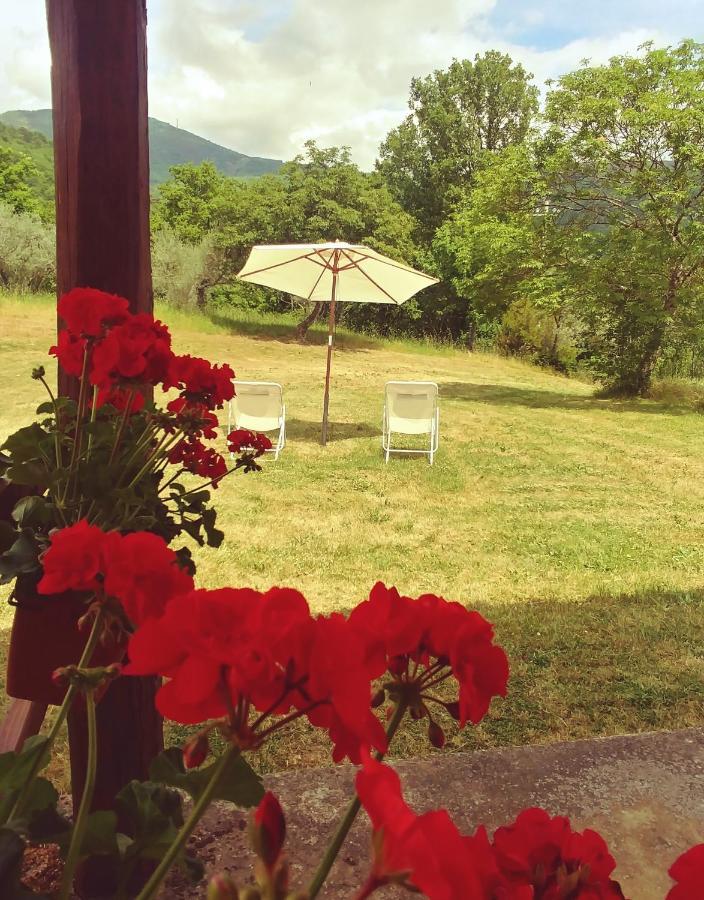 Agriturismo Botro Pulicciano エクステリア 写真