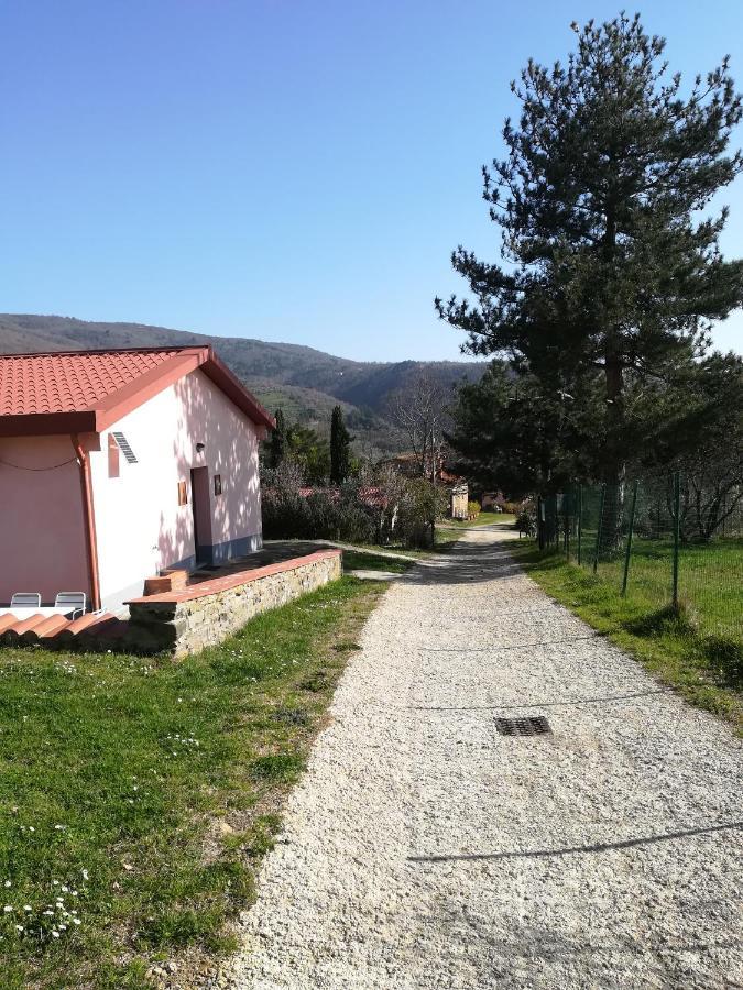 Agriturismo Botro Pulicciano エクステリア 写真