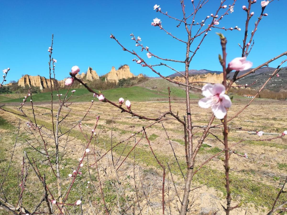 Agriturismo Botro Pulicciano エクステリア 写真